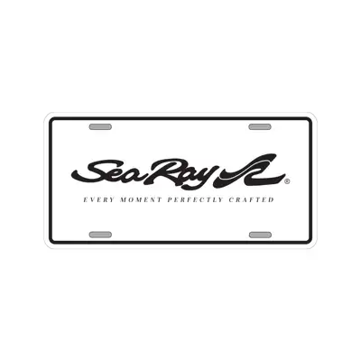 Black License Plate product image on white background