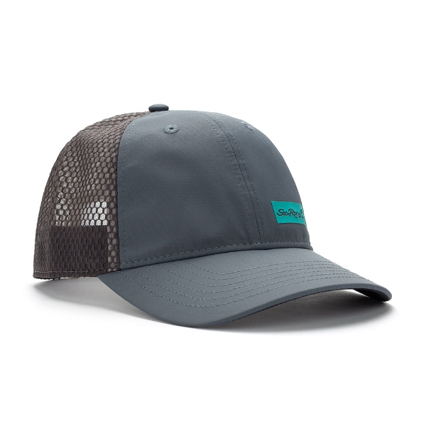 Image of a gray cap with gray mesh back and blue Sea Ray logo on front