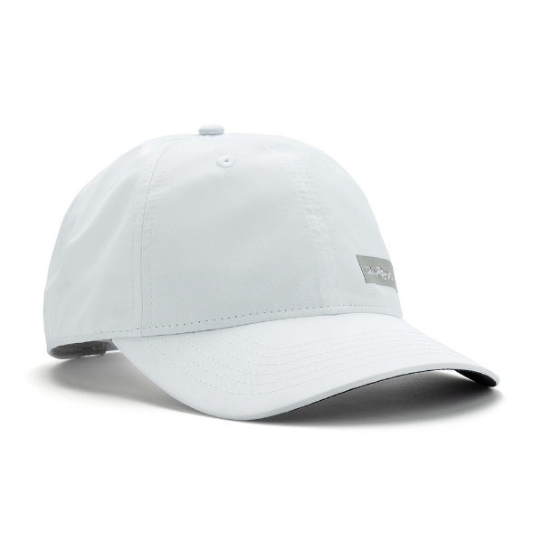 Image of a white cap with gray Sea Ray logo on front