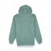 Sea Ray Driftwood Hoodie in sage green back